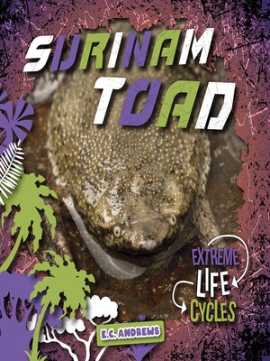 cover image of Surinam Toad